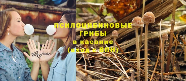 мяу мяу мука Абинск