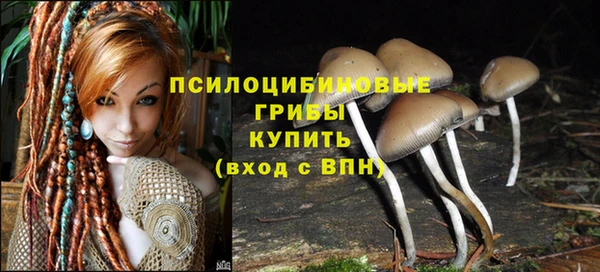 марки lsd Алзамай