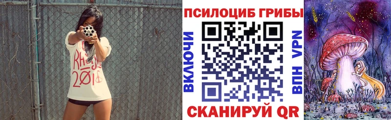 наркотики  Конаково  маркетплейс Telegram  Галлюциногенные грибы Psilocybine cubensis 